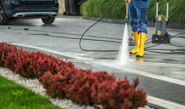 Best Patio and Deck Pressure Washing  in Wailua, HI